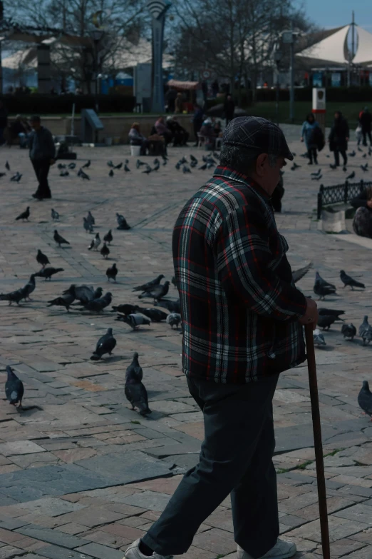 a man walking through an open city square with pigeons on the ground