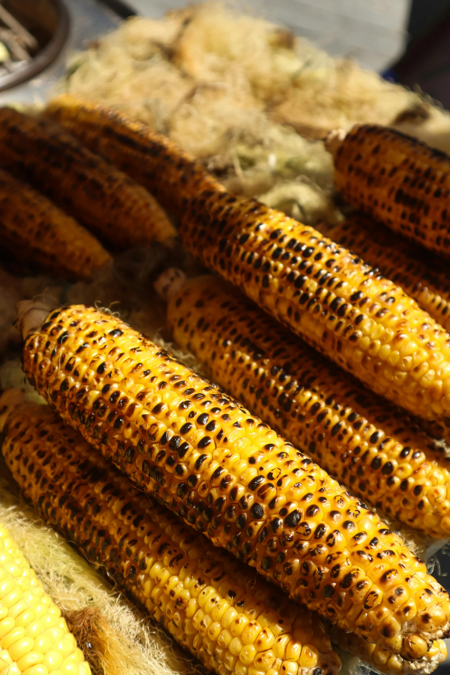 corn on the cob is displayed on a tray