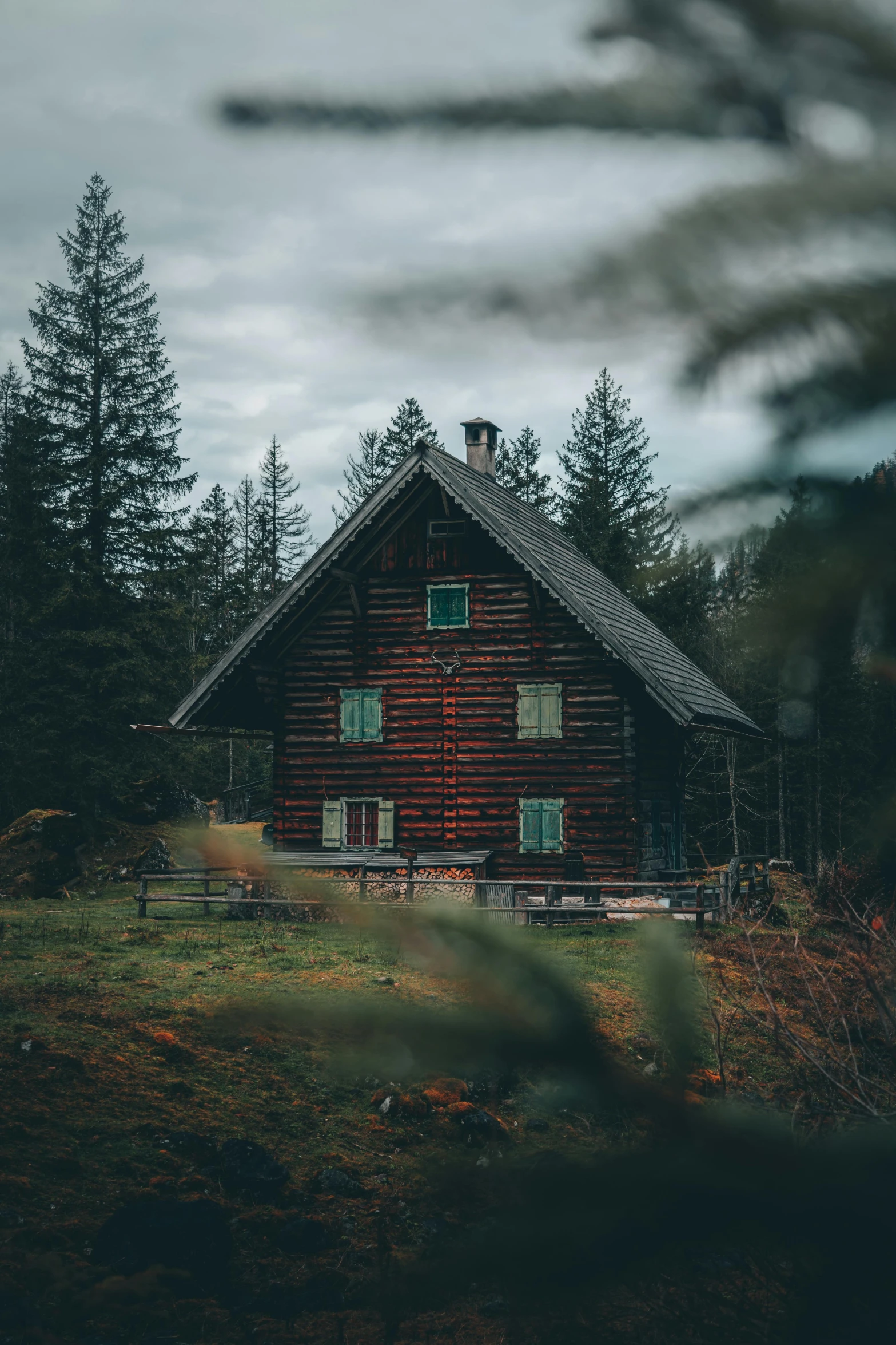 a cabin sits alone in a forrest of trees