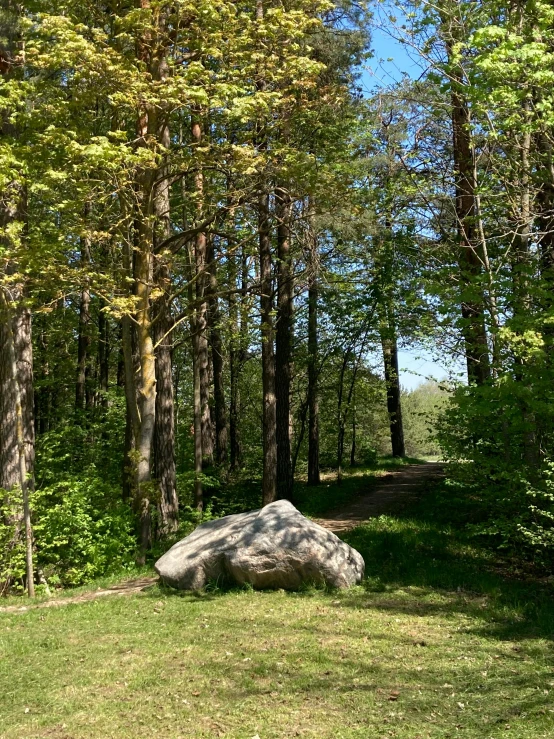 a lone rock is on the grass in front of some trees