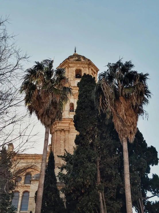 the large clock tower is surrounded by trees