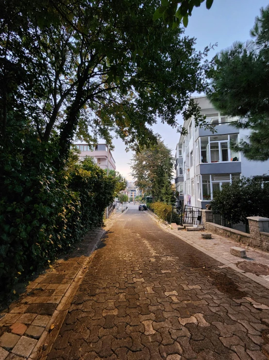 the sun is setting on the sidewalk as a bench rests by