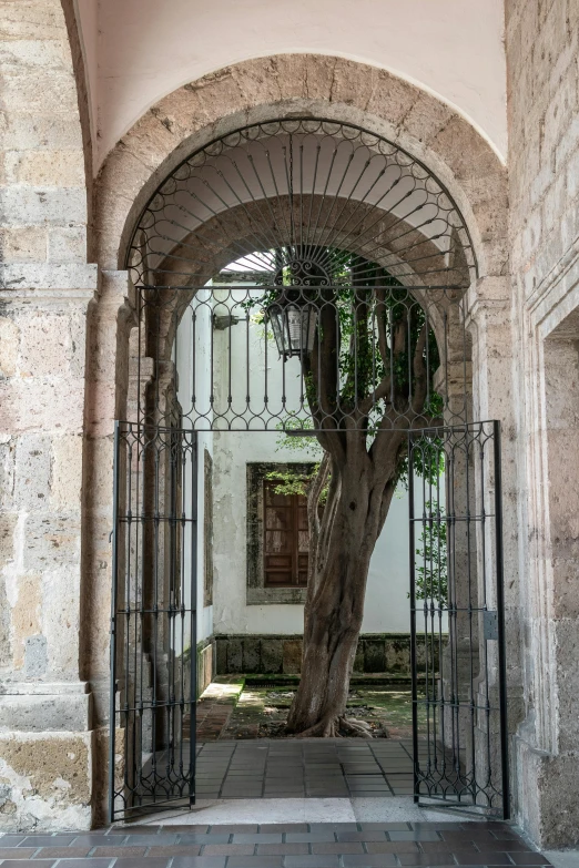 a tree inside an old archway next to some stairs