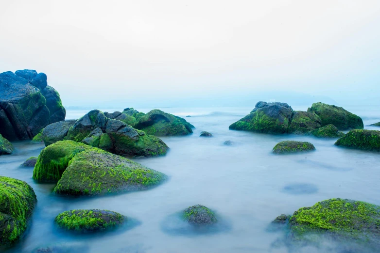 several large rocks covered in lots of green moss