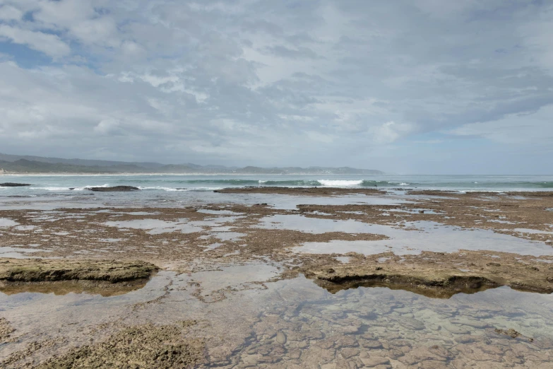 a rocky beach with low tide breaks off the rocks