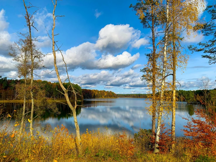 the beautiful scene is reflected in the still water