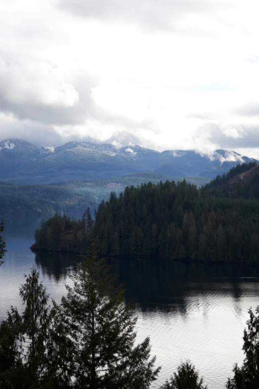 a lake near the edge of a forest