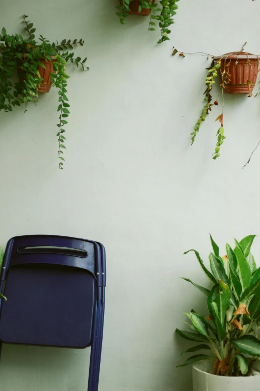 a chair and some plants are against a white wall