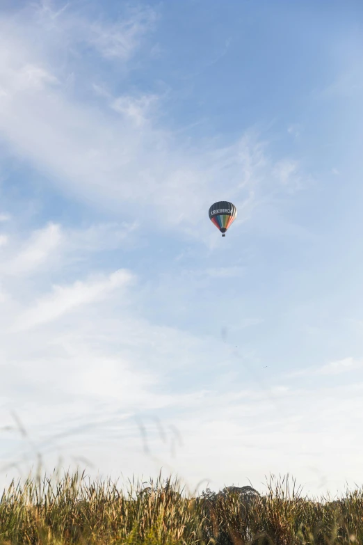 a  air balloon in the sky over a field