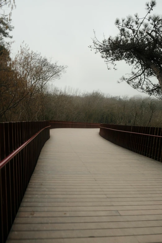 an empty pathway bridge with trees in the background