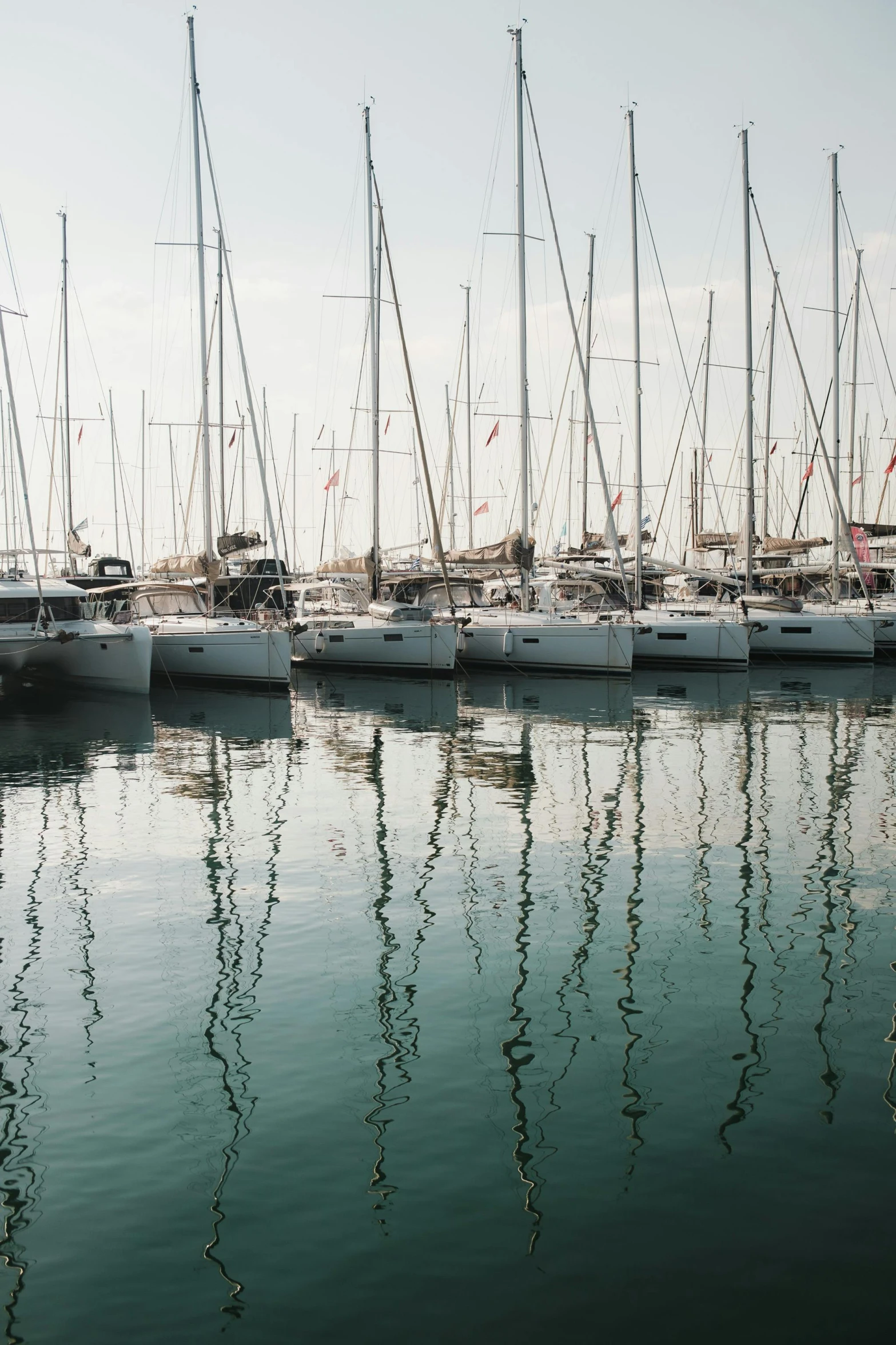 a fleet of sailboats docked at a pier