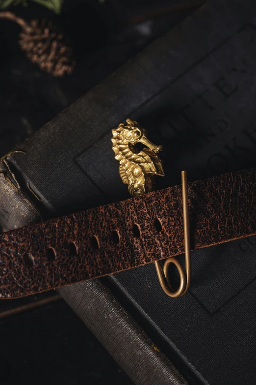 the book holds an antique gold lion brooch on a belt