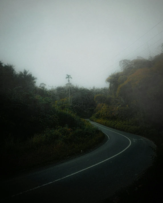 an image of a road in the fog on a road trip