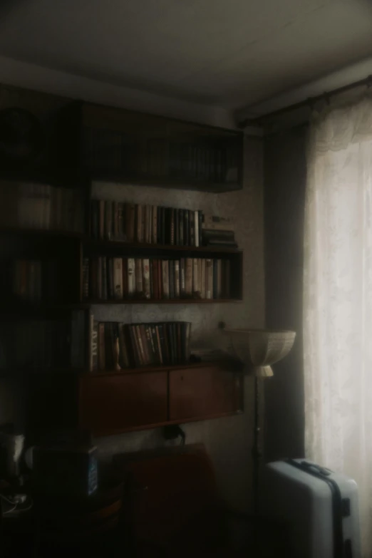 a shelf with books in front of a window