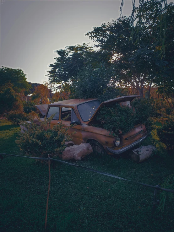 an old rusty truck sitting in some bushes