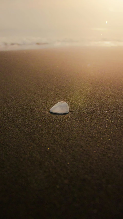 a white rock sitting on top of a wet sandy beach