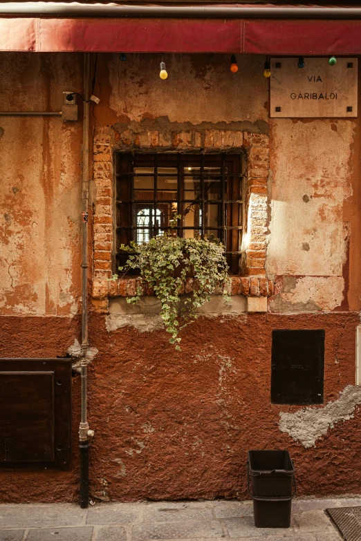 a building that is old and brown with a plant on it