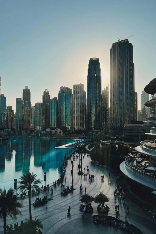 a city view looking across a lake towards several high rise buildings