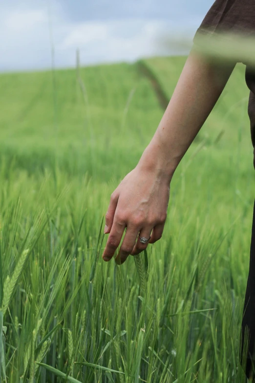 the fingers of someone who is touching some tall grass