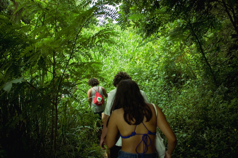 two people walking down a path through a forest