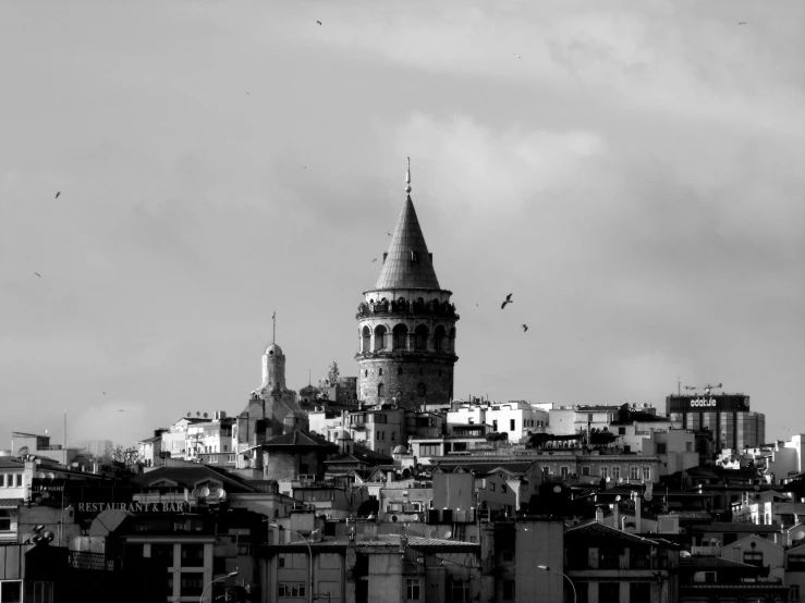 black and white pograph of a cityscape with birds flying overhead