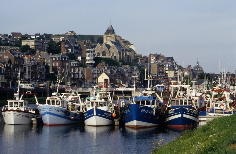 many boats in the water and a hill behind them