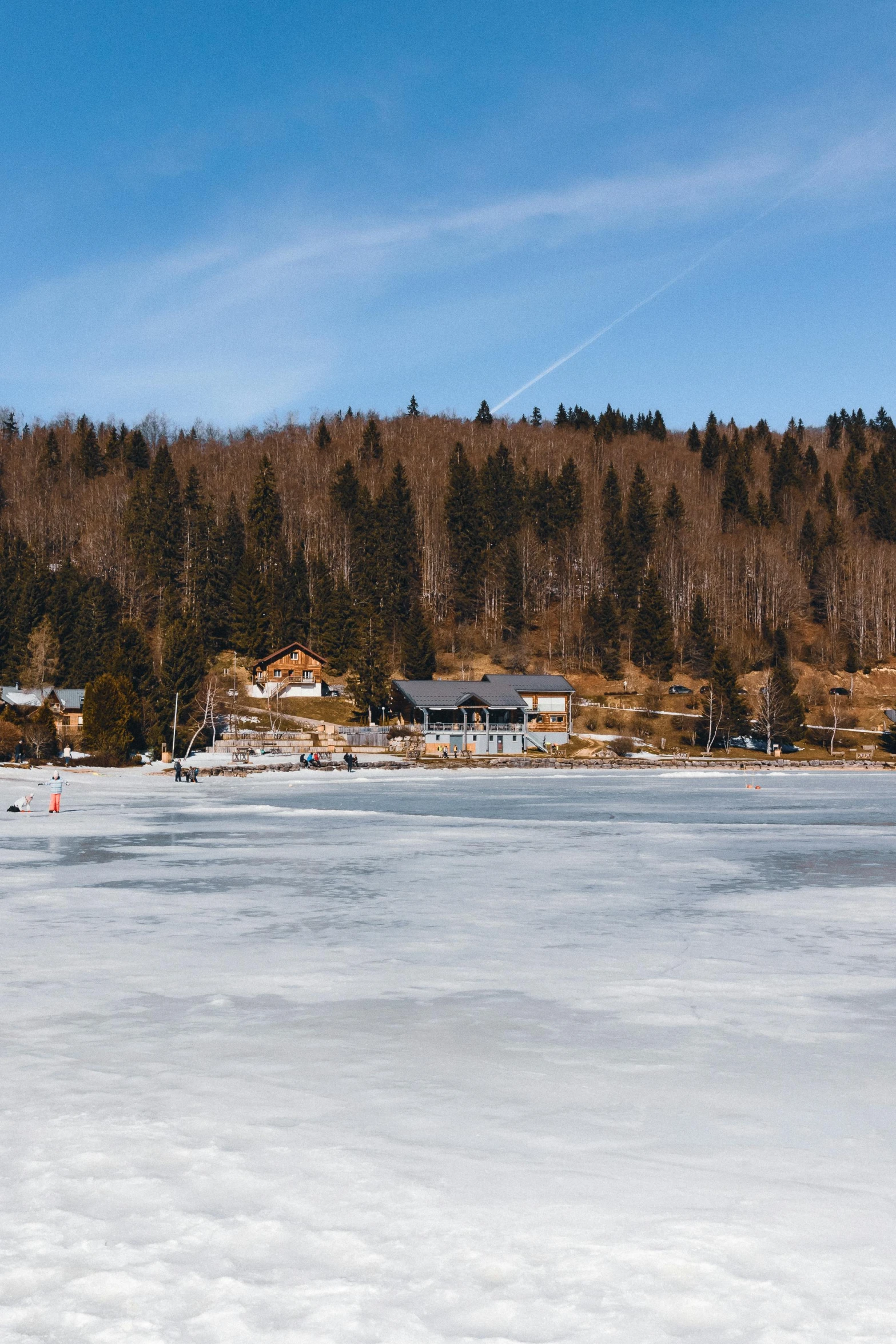 a landscape with snow, trees and houses