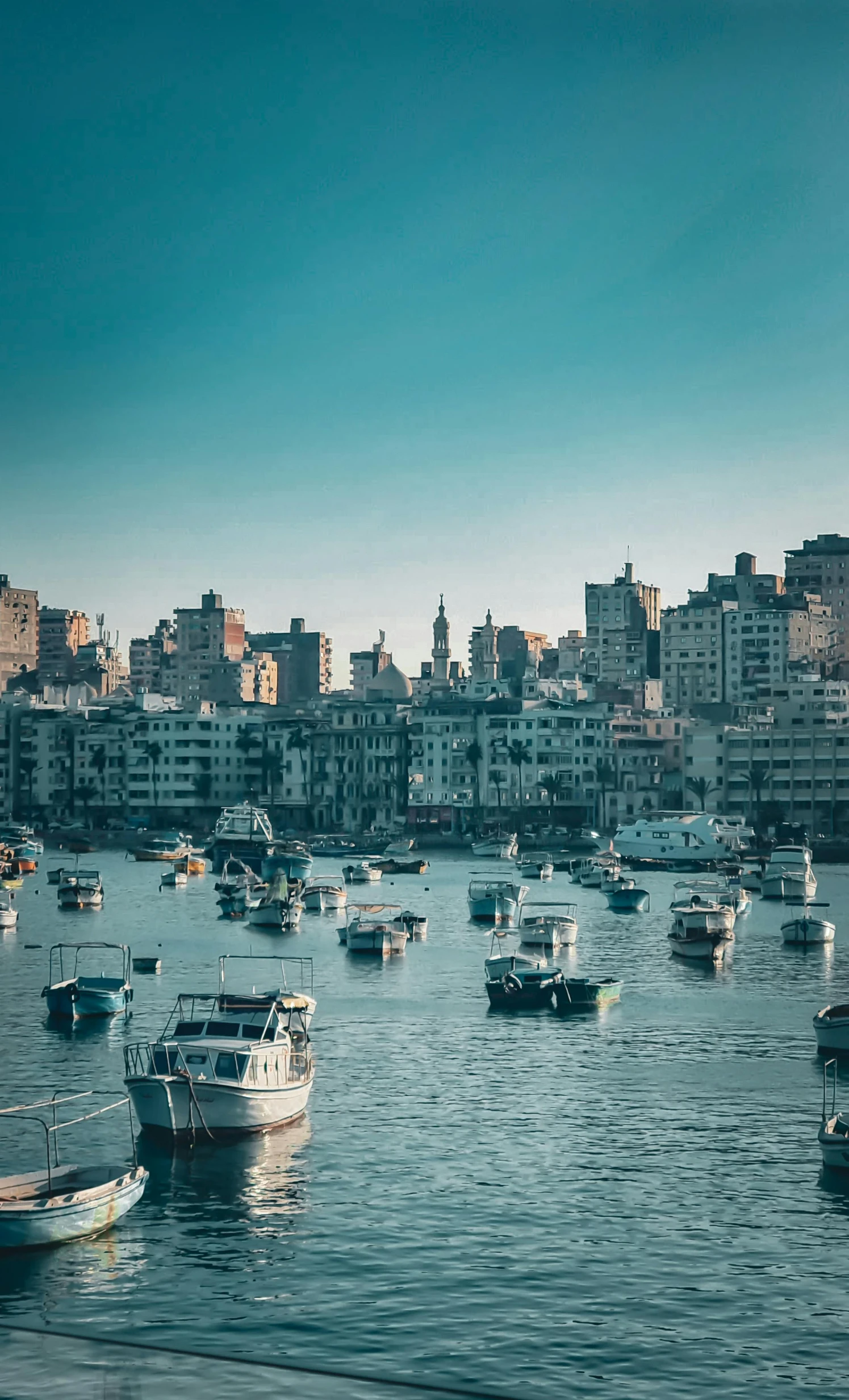 many small boats in the water near a city