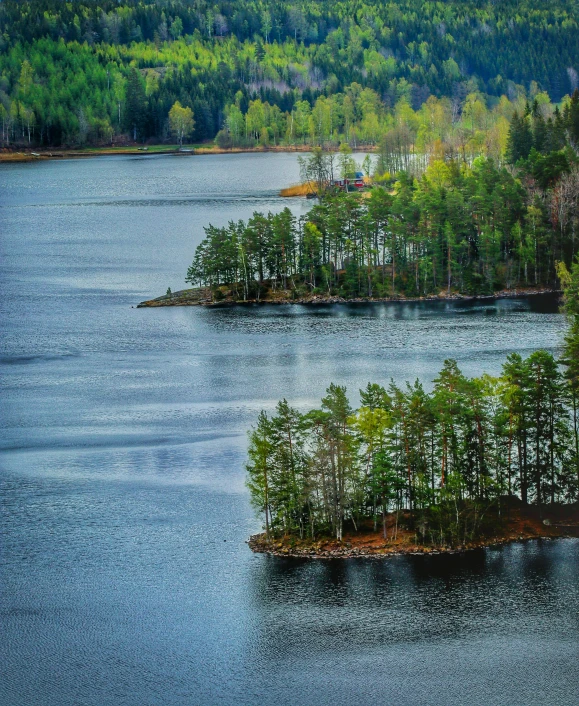 two small islands surrounded by evergreen trees