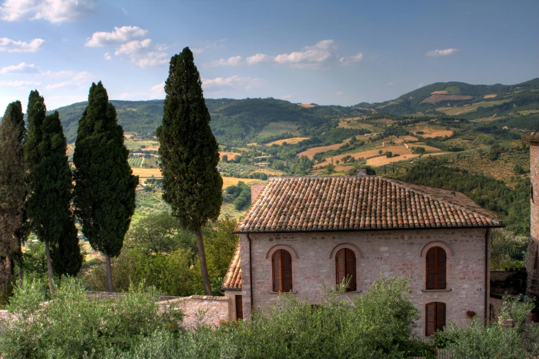 several trees in a valley overlooking a building