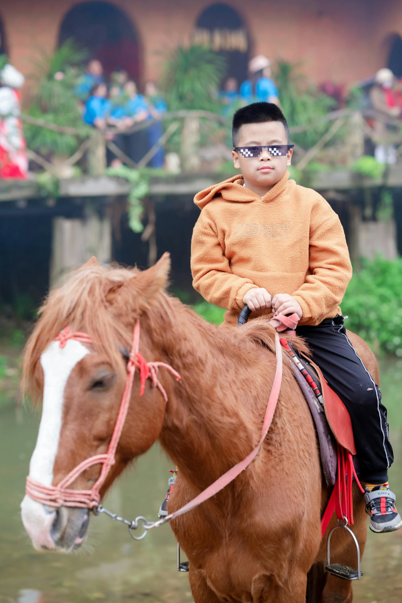 small boy sitting on top of a brown horse in front of people