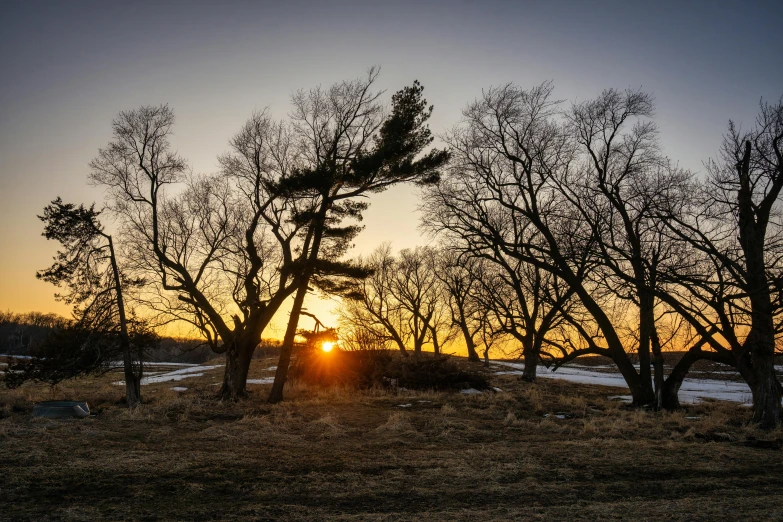 the sun is setting through the trees in a field