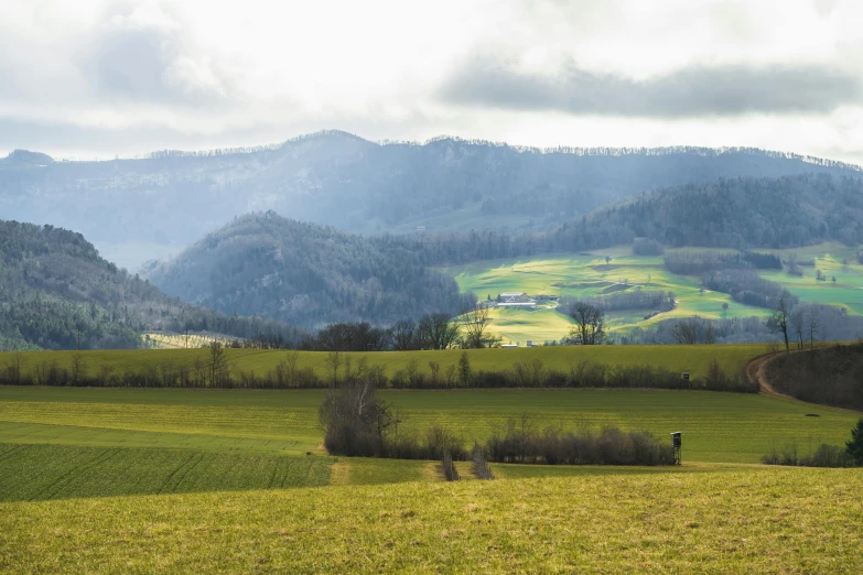 large grassy field with rolling mountains in background