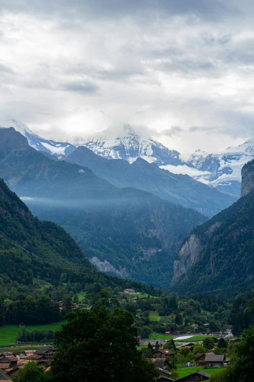 a lush green valley with mountains in the background