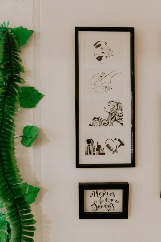 a living room with a picture, picture frames and ferns