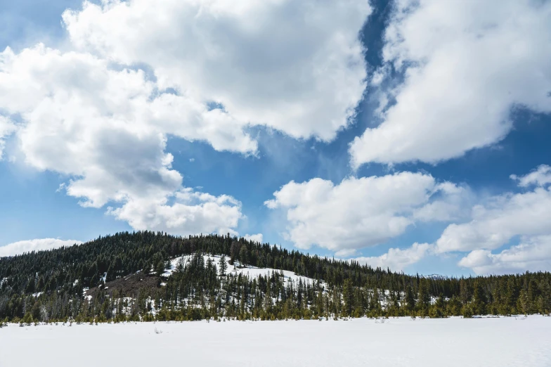 a large field covered with snow and lots of trees