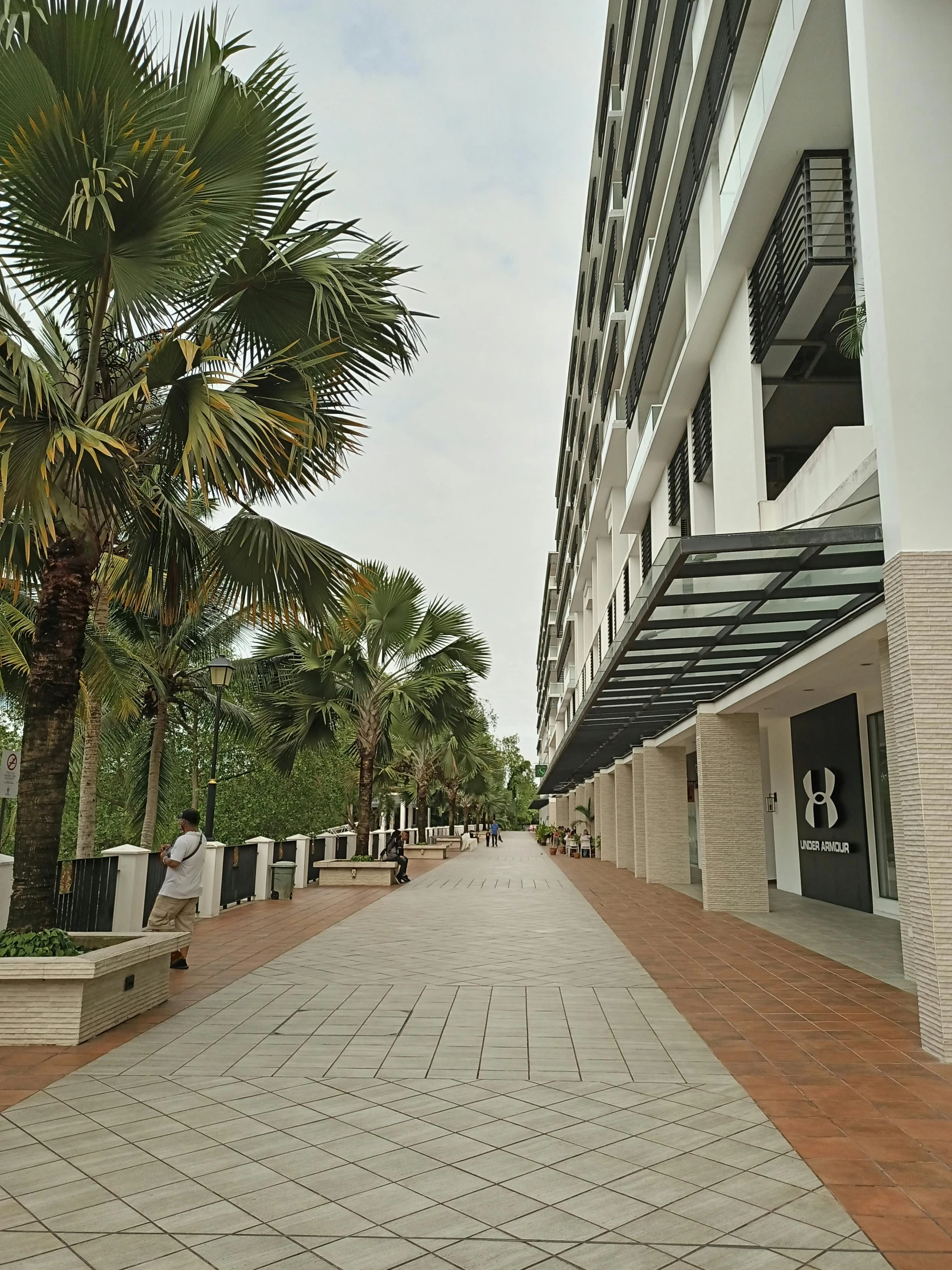 the view of some palm trees in front of an apartment building