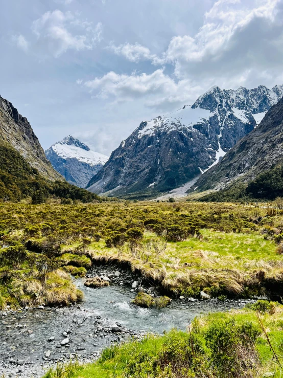 the stream is running through the open wilderness