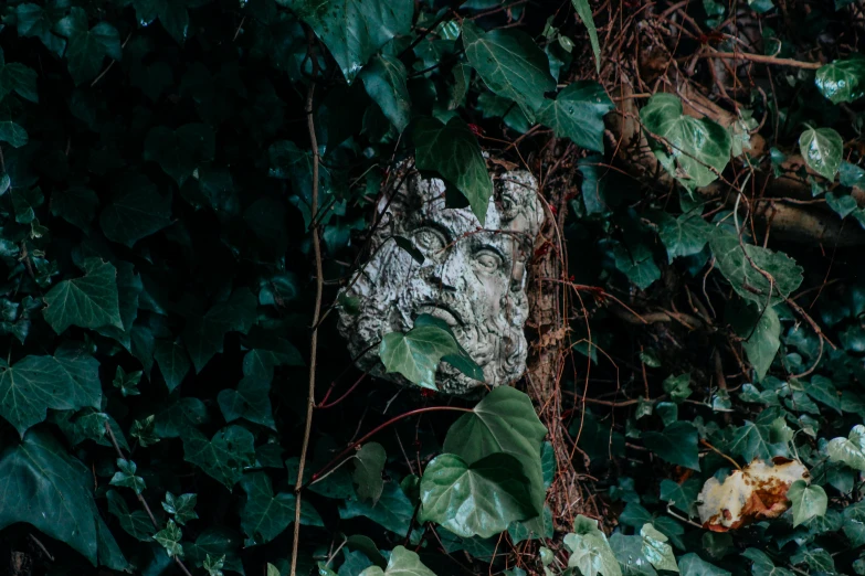 a face is surrounded by green plants and vines