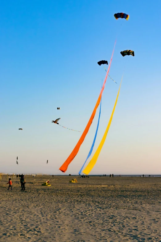 people are flying kites on the beach at sunset