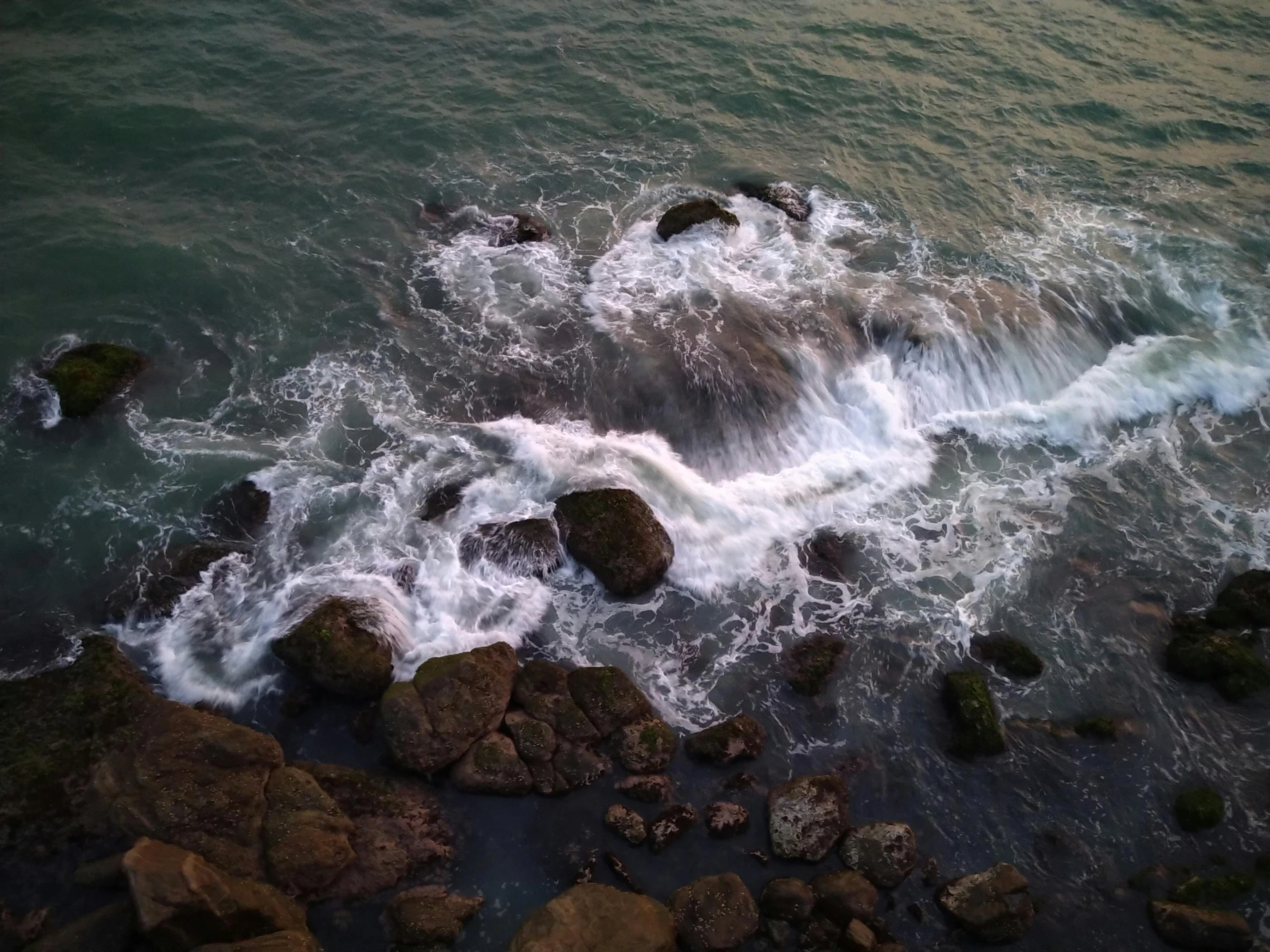 the water is very green in color at the edge