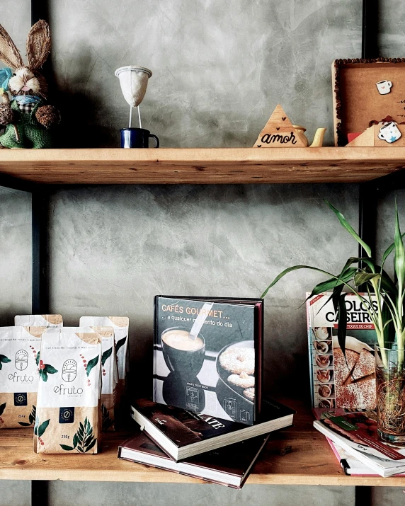 a small table with a potted plant and books