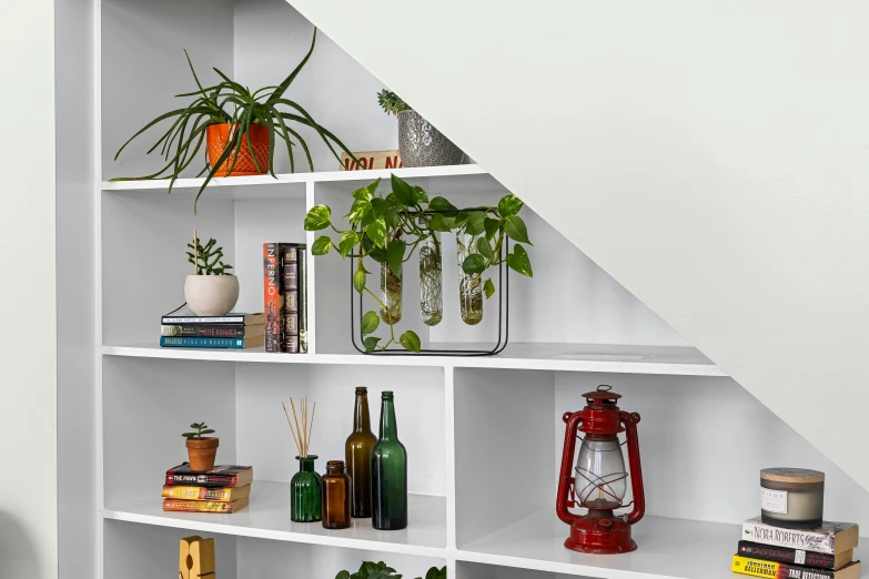 a shelf that has plants and books on top