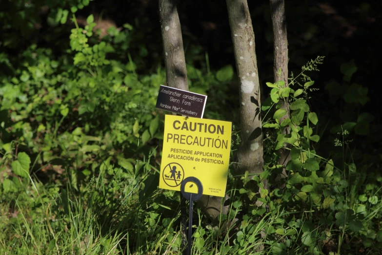 a caution sign next to a pair of trees