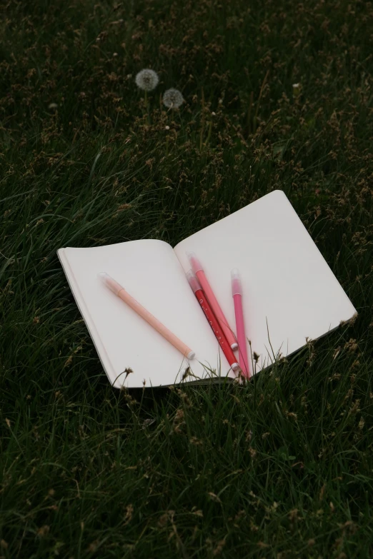 two pencils laying on top of an open paper in the grass