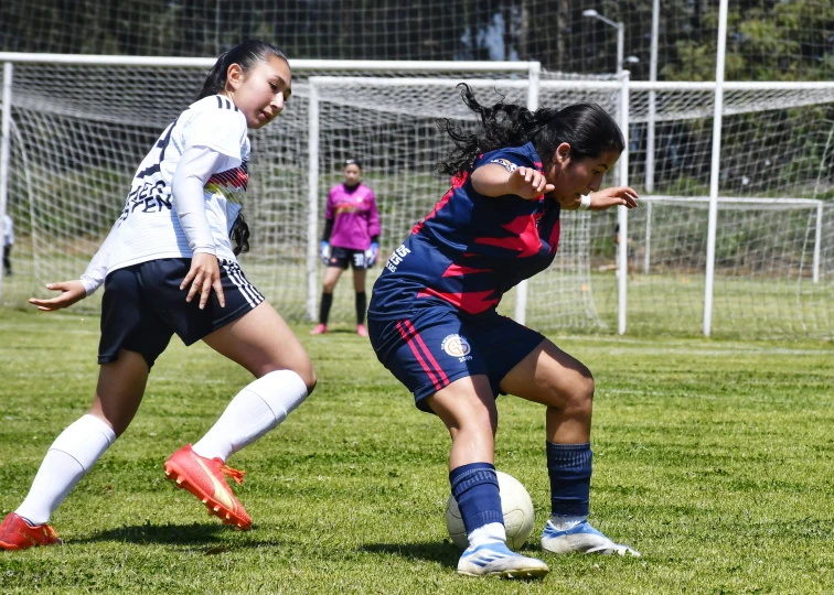 two girls kicking a soccer ball around in the grass