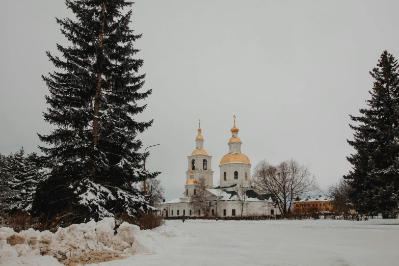 a cathedral with a dome sits among some pine trees