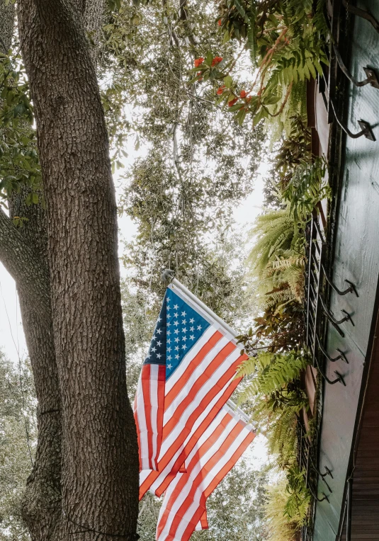 an american flag hanging from the tree outside a building
