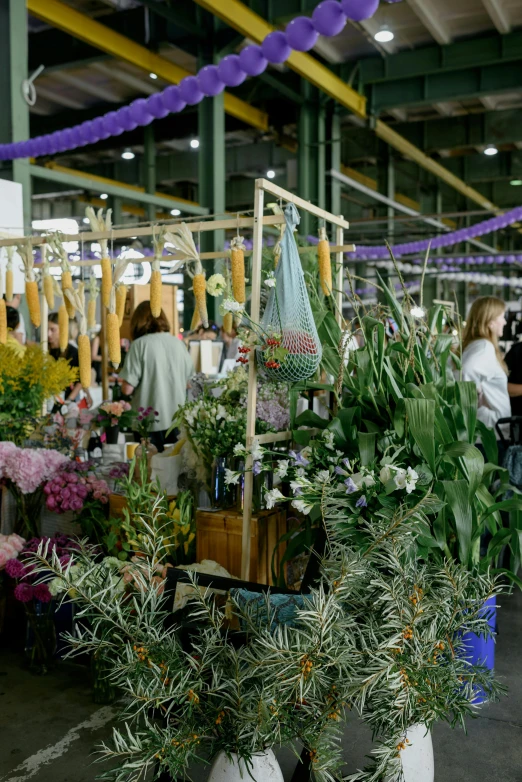 several people walk through the shop and shop plants