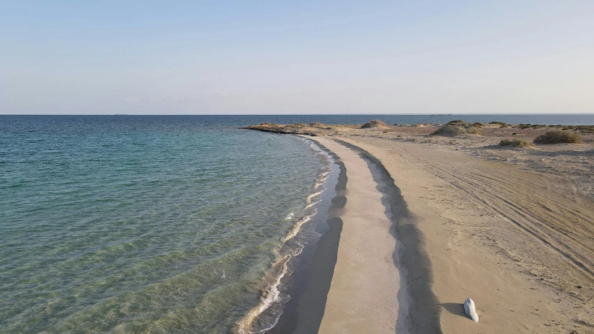 there are two dogs on the beach looking at the water